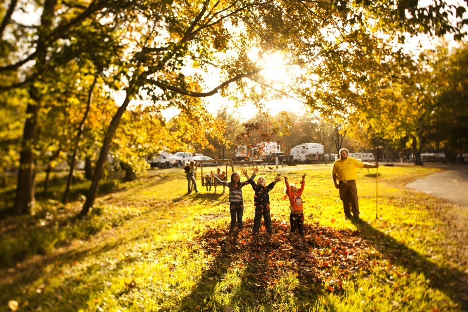 /blog/images/fallleaves.jpg?preset=blogThumbnailCrop
