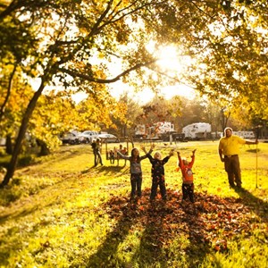 Tips for Taking Better Fall Foliage Photos Image