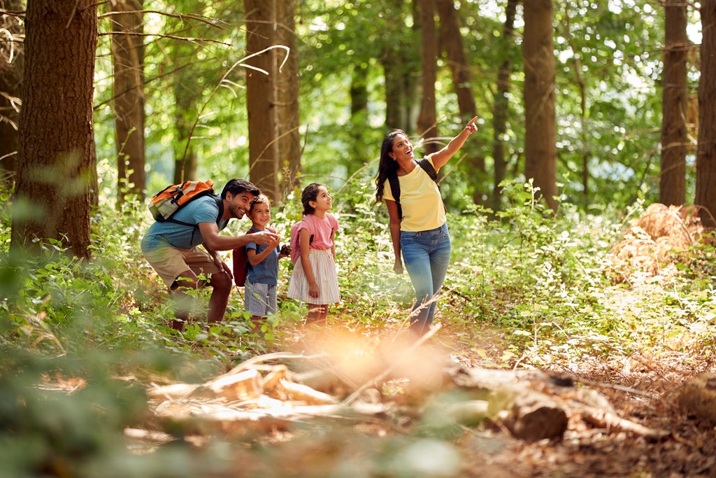 A family of four takes a walk through the forest with mom pointing out wildlife.