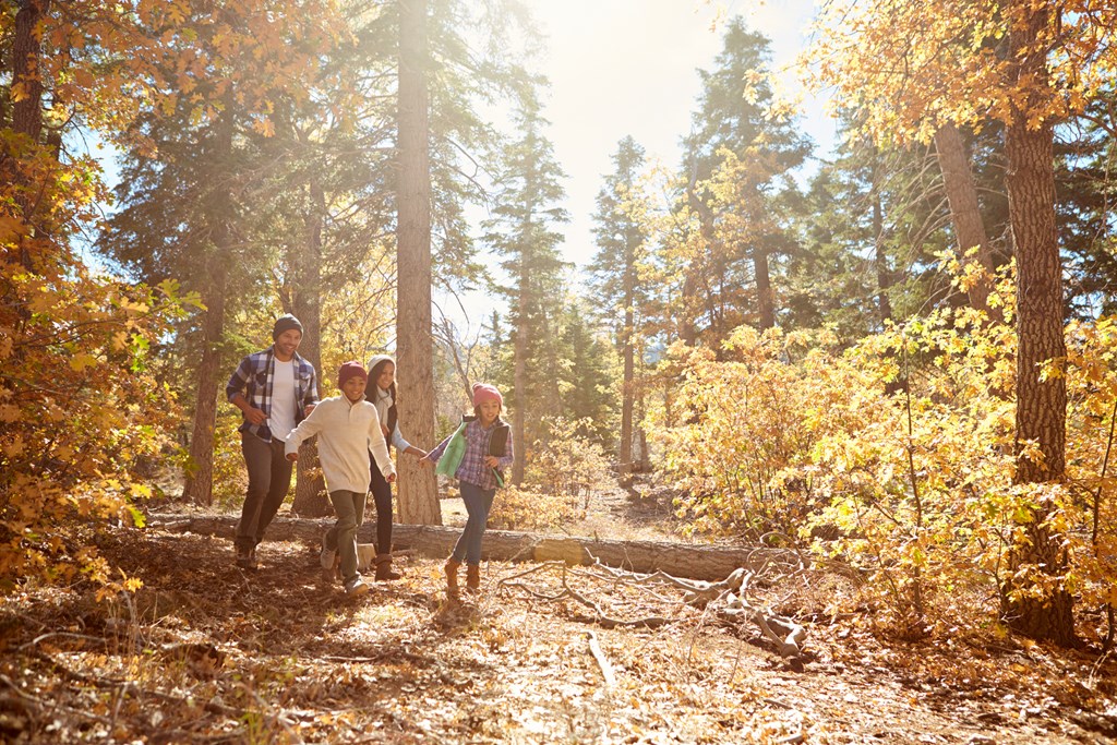 A family of four on a fall hike on a sunny day.