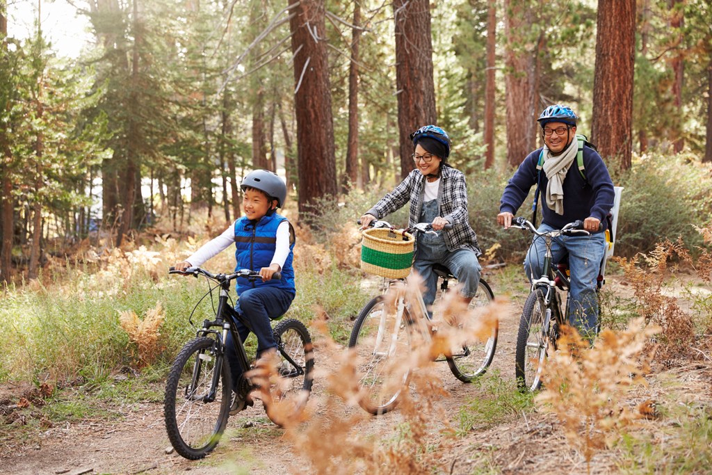A family with a young sun rides bikes on a forest trail.