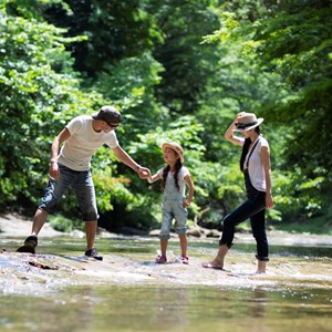 5 Summer Activities To Try in National Forests Image