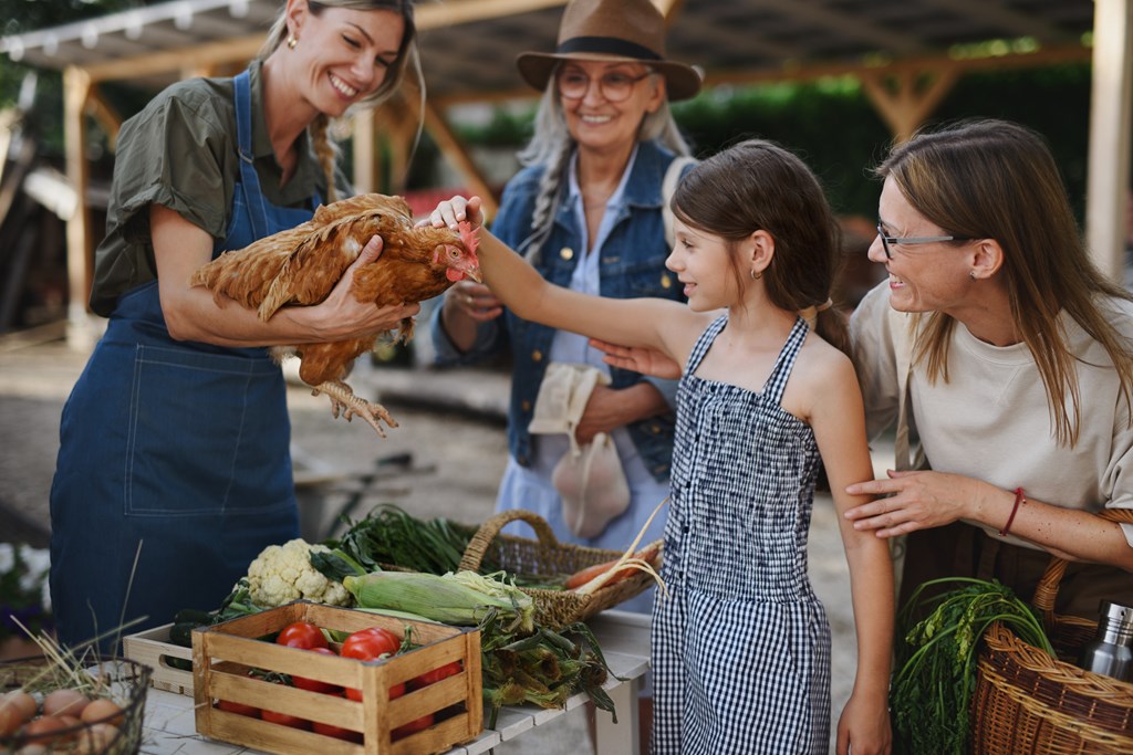 A little girl with mother stroking hen outdoors at community farmers market.