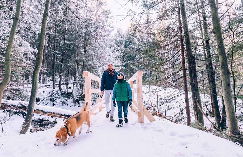 Father and son walk across a small wooden bridge with dog in snowy forest.