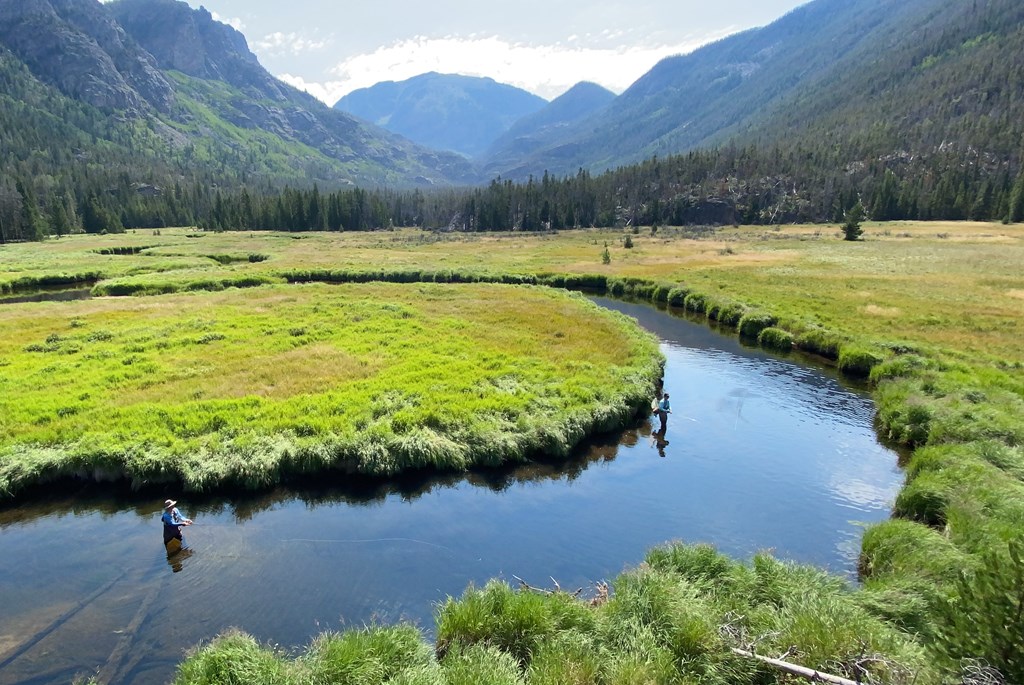 Two fly fishers fish in a calm stream in a Rocky Mountain National Park meadow.