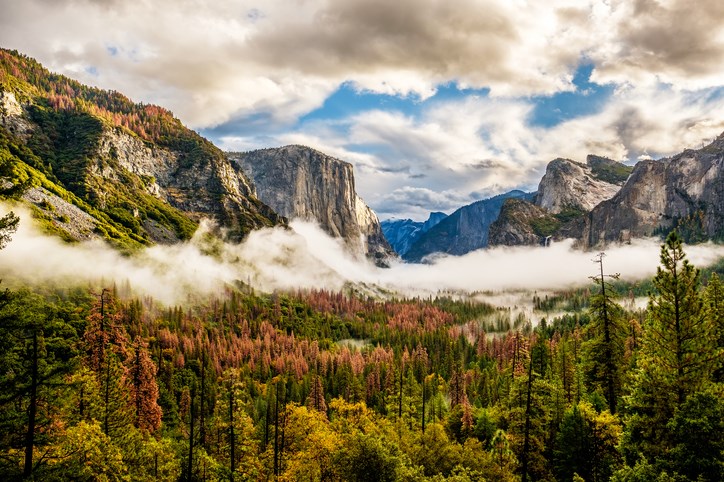 Mountains with colorful trees