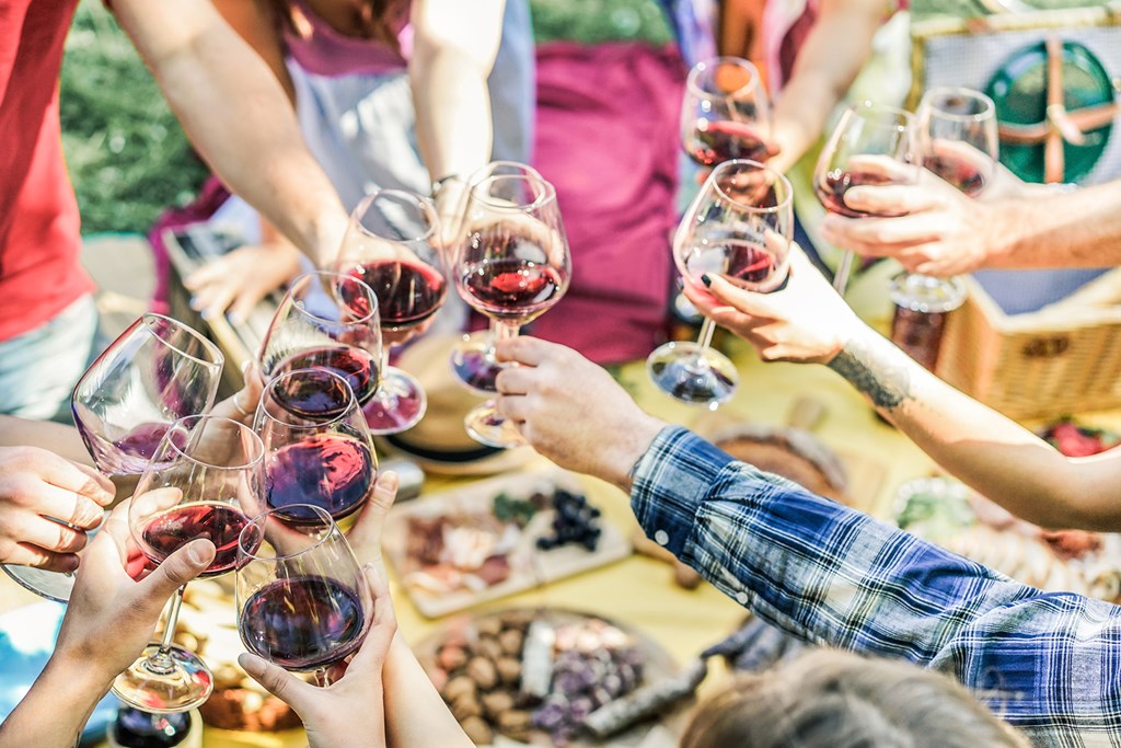 Group of friends enjoying picnic while drinking red wine. 