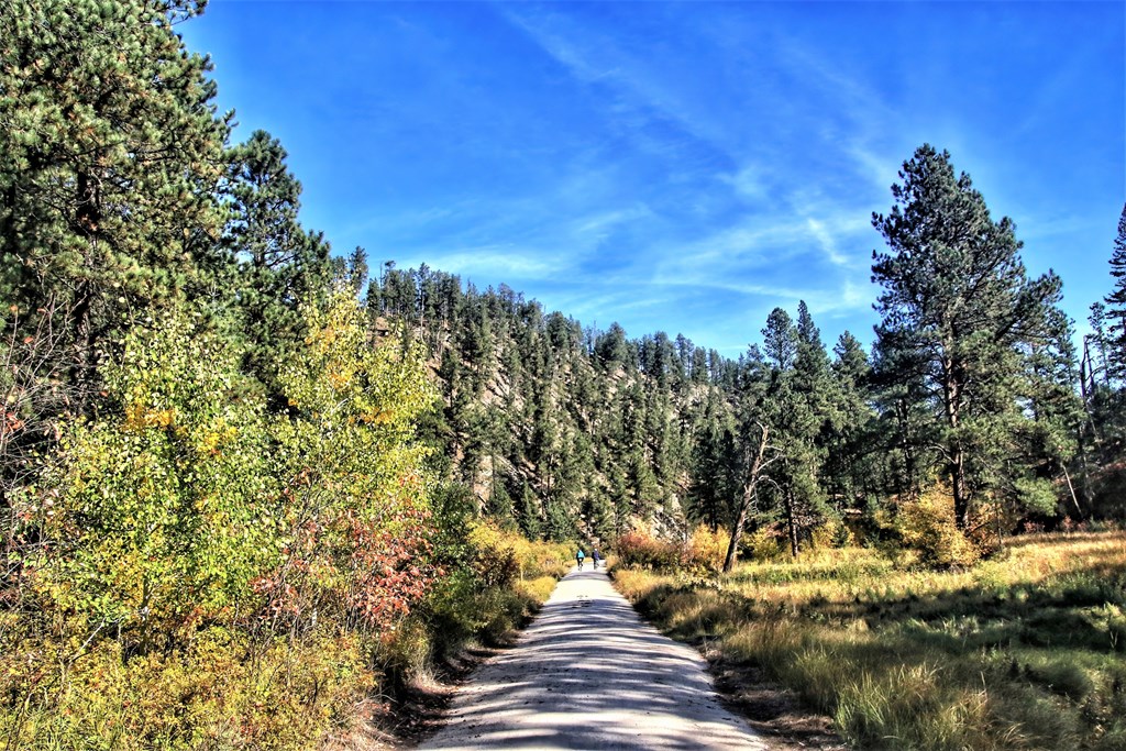 Dakota, the George Mickelson State Trail passes through mountains covered with green pines and Autumn-colored vegetation.