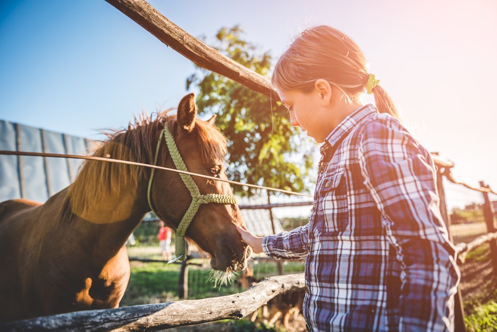 Little girl in plaid shirt pets a pony through a fence.