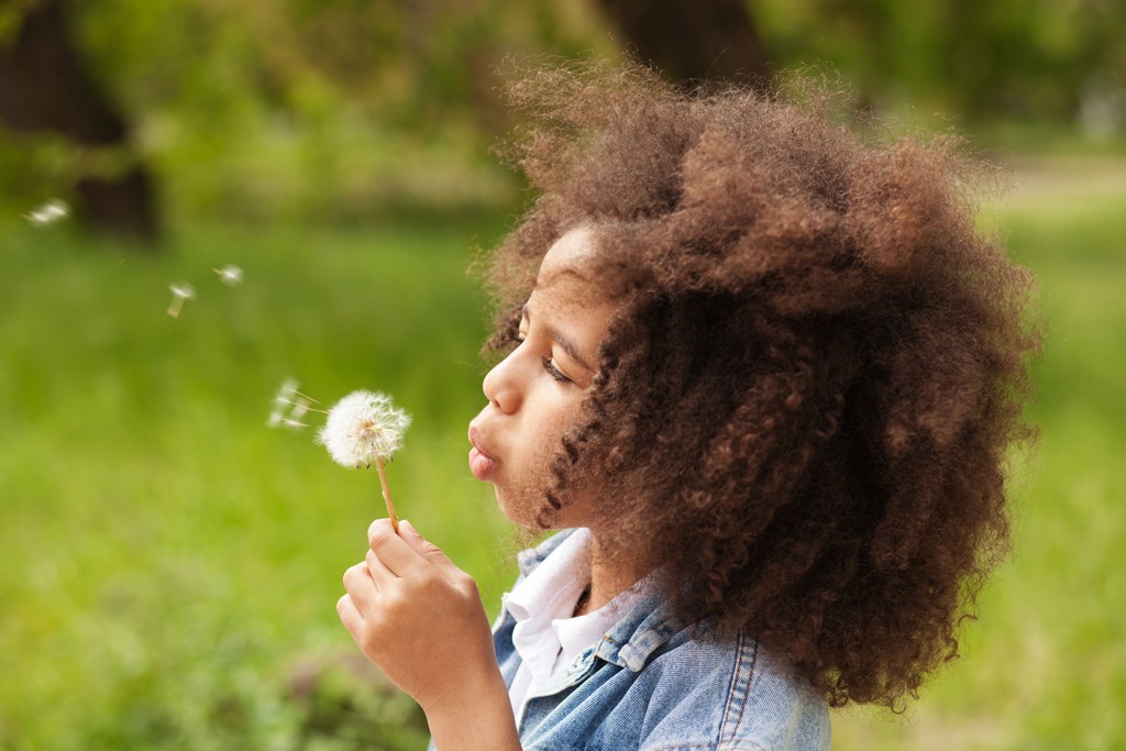 Little girl blowing on a dandelion