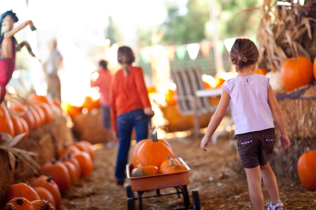 Little girls pulling a wagon with pumpkins at a pumpkin patch.