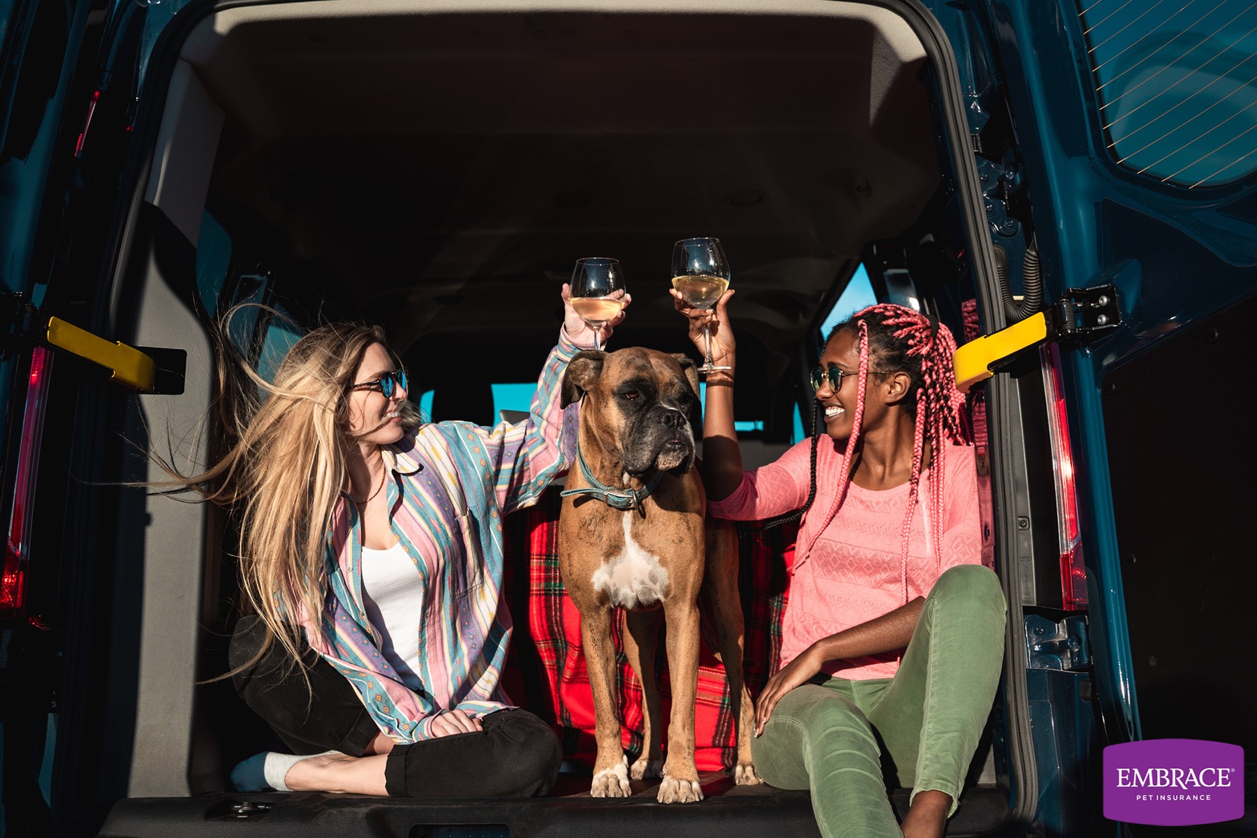 Using a pet temperature monitor in your RV - Kamper Jobs