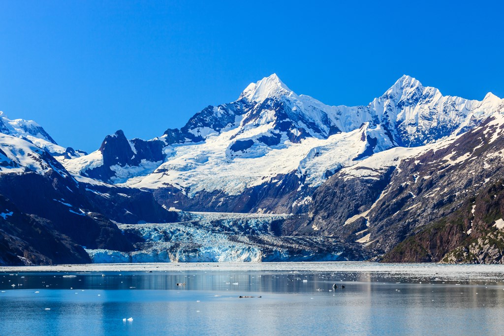 Johns Hopkins Inlet in Glacier Bay National Park, Alaska