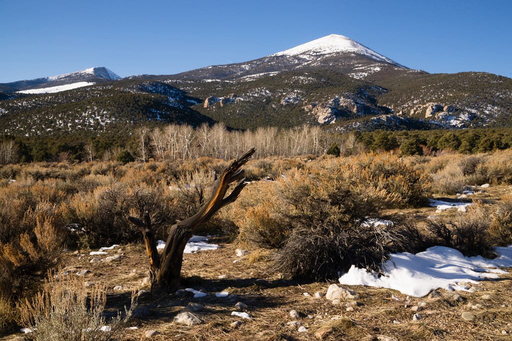 Winter landscape in Great Basin National Park.