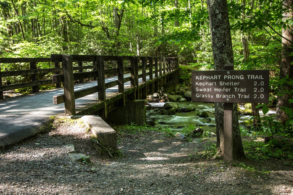The Kephart Prong Trailhead with a wooden footbridge crossing a small mountain stream in the Great Smoky Mountains National Park in Gatlinburg, Tennessee.