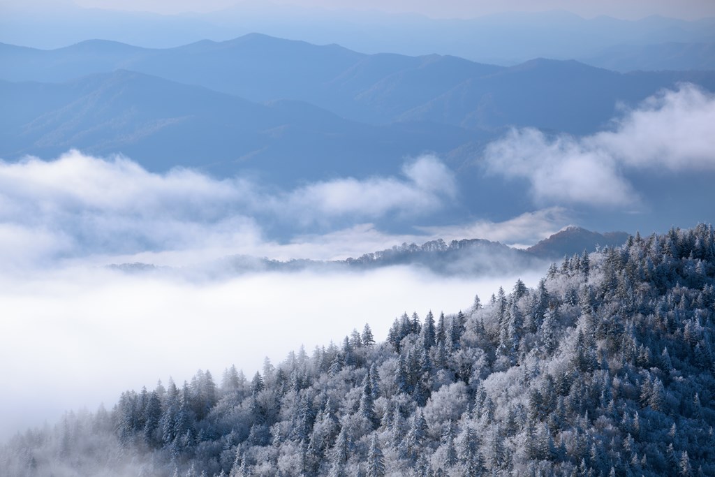 Landscape from Clingmans Dome with snow, fog, and frost, Great Smoky Mountains National Park, Tennessee, USA