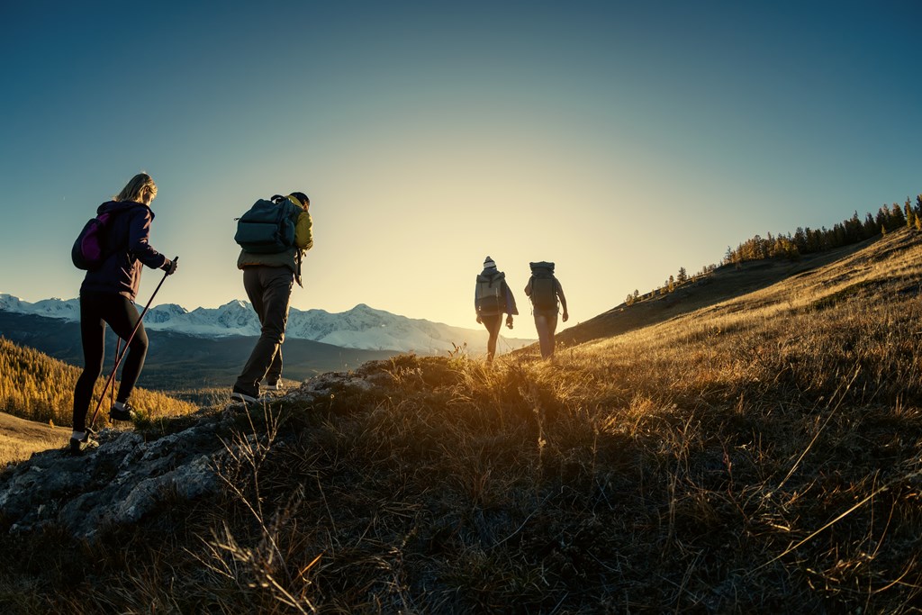 Group of young hikers walks in mountains at sunset.