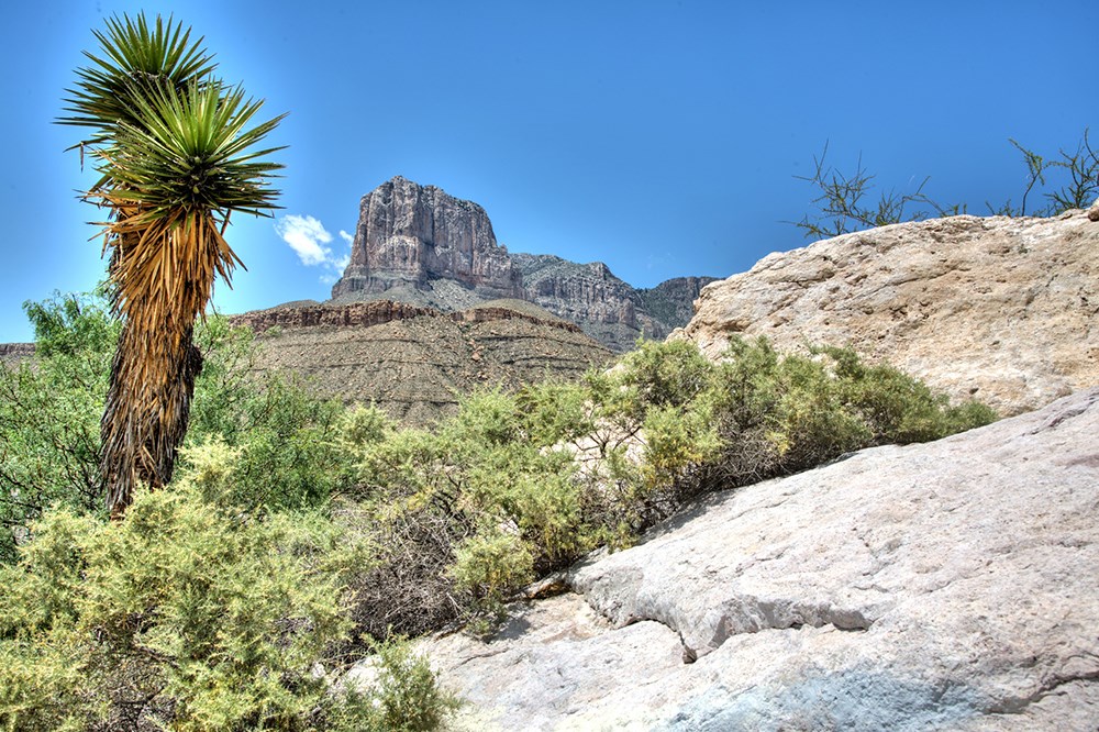 Iconic peak in Guadalupe Mountains National Park, Texas.