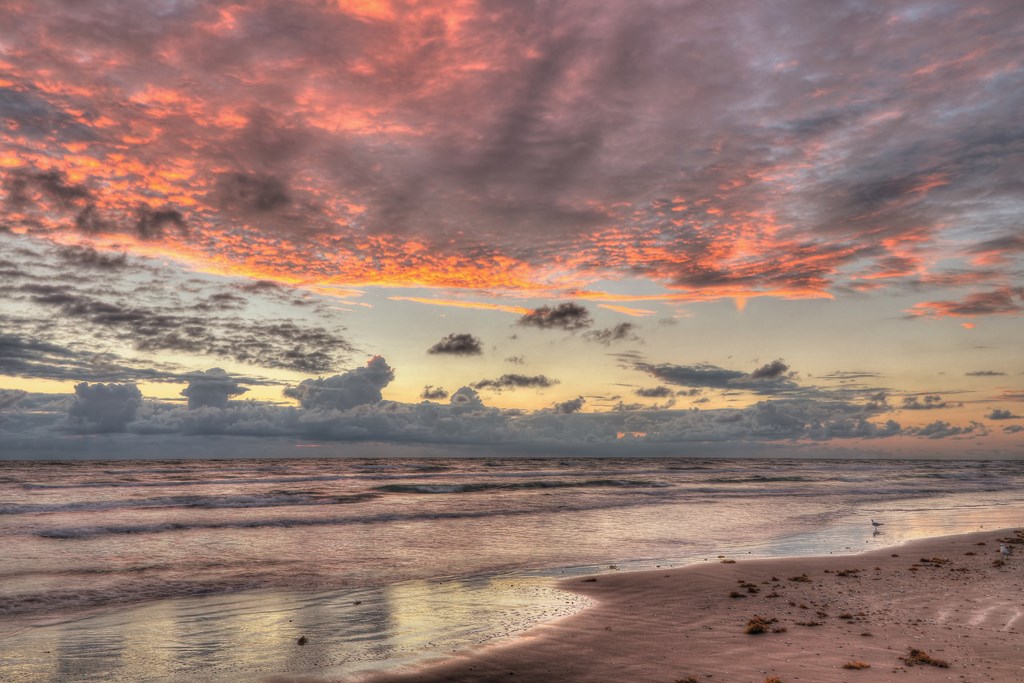 Sunrise with Gulls on the Gulf of Mexico.