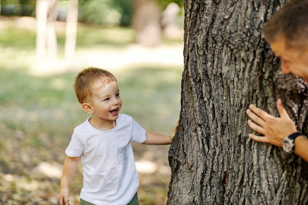 Father and son playing seek and hide in forest on sunny weather.