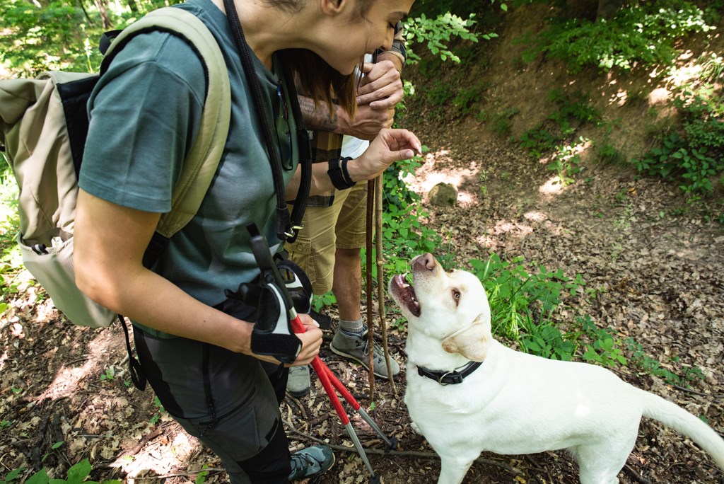 Young happy couple gives their dog a treat while hiking through the woods.