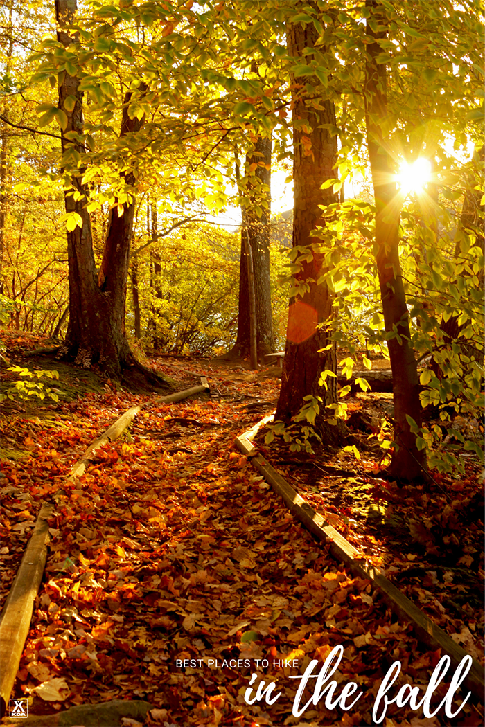 Looking for a great spot to hike now that days are cooling off and the leaves are starting to show their fall colors? These 15 hiking trails across the US are the perfect spots to hike this fall.