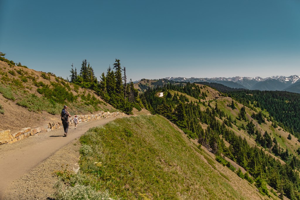 Father hiking with his sons on Hurricane Hill in Olympic National Park.