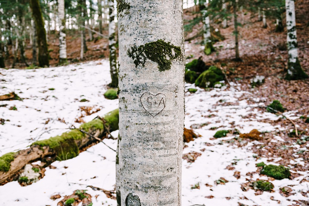 Tree trunk with a carved heart and initials.