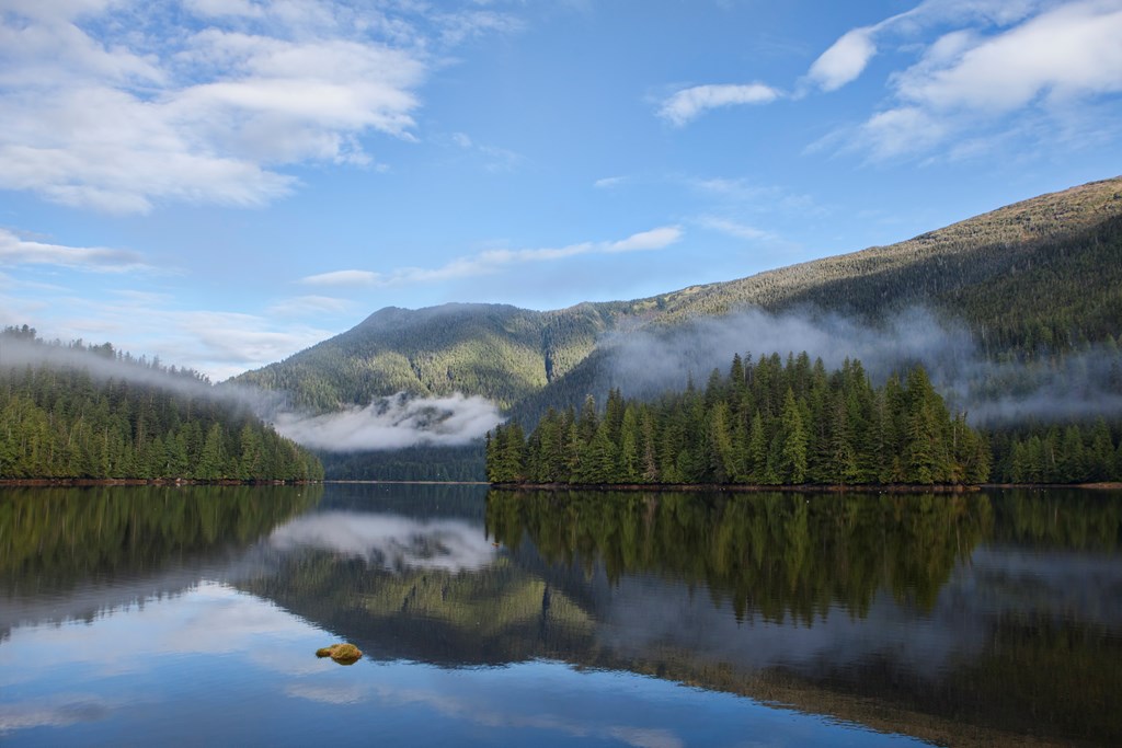 Early morning fog clearing as the sun rises in Baker Inlet in coastal British Columbia in the Inside Passage.