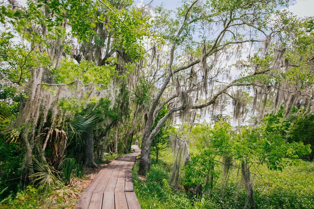 A wooden boardwalk trail meanders through swampland in Jean Lafitte National Historical Park and Preserve. 