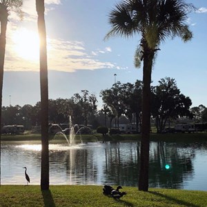 An Award-Winning Campground in Florida becomes a KOA Image