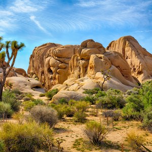 National Parks in the South Image