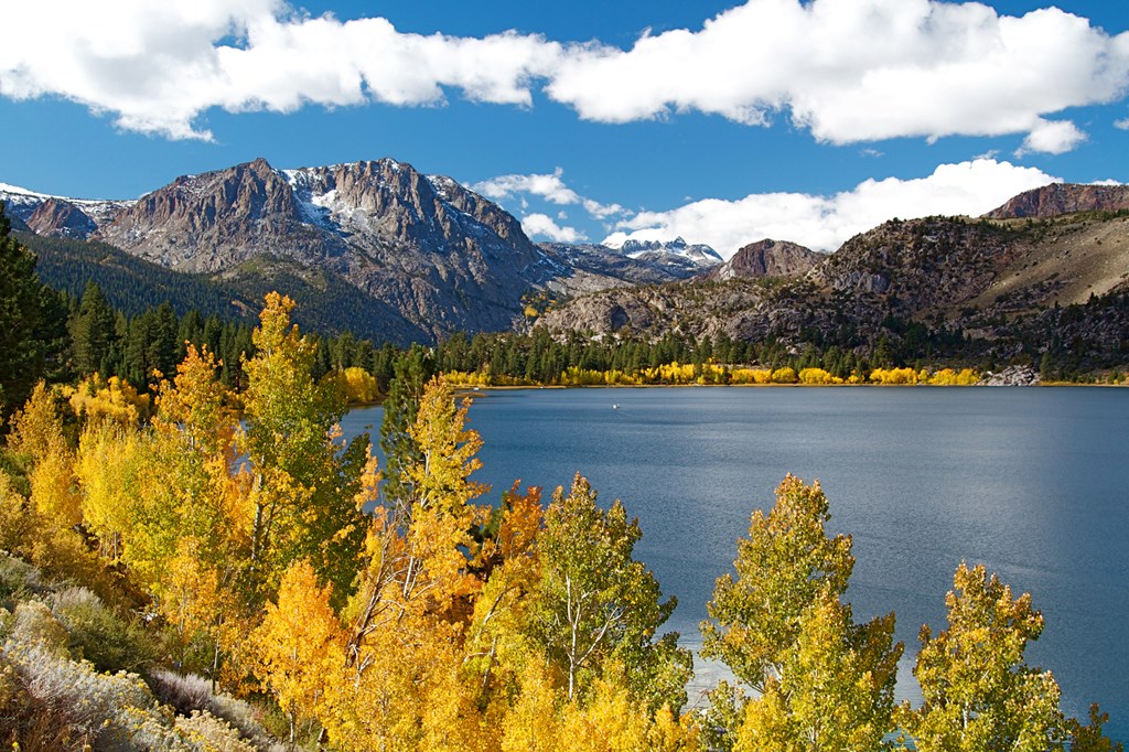 Eastern Sierra mountain range in full autumn colors at June Lake.