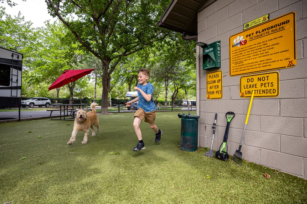 Young boy runs with his dog in an off-leash dog-park.