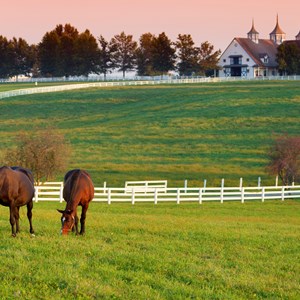 8 Things to See and Do in Kentucky Image