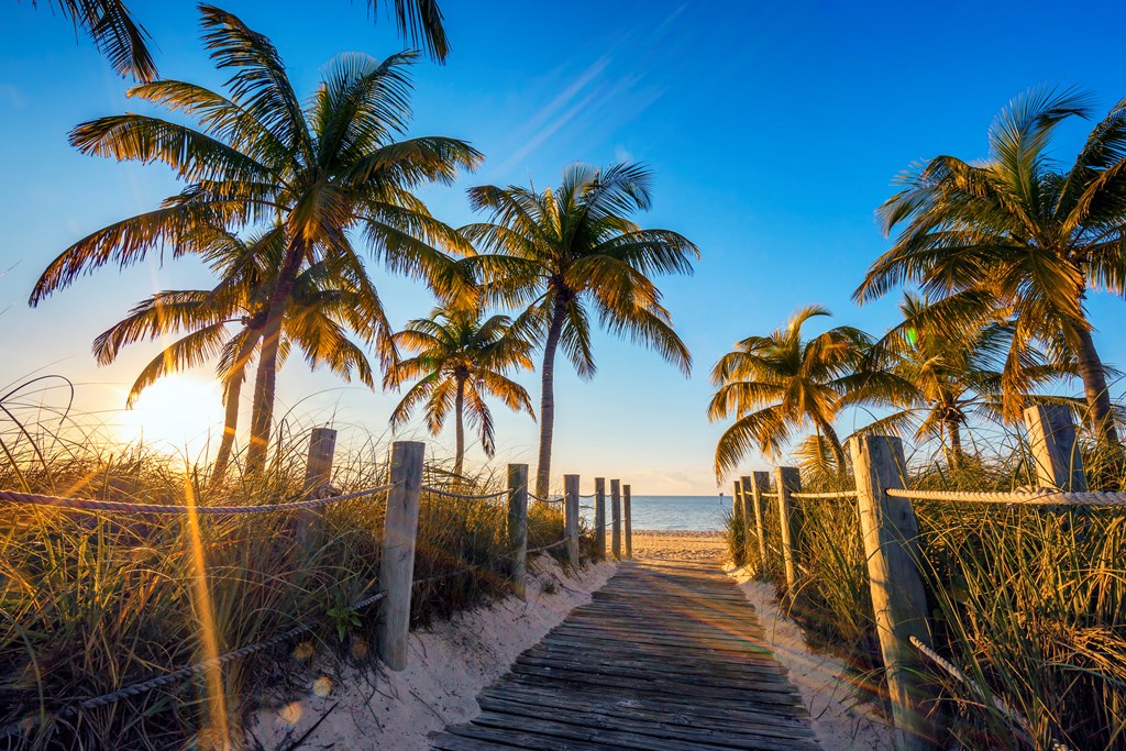 Palm trees over a boardwalk to a sandy beach in Key West.