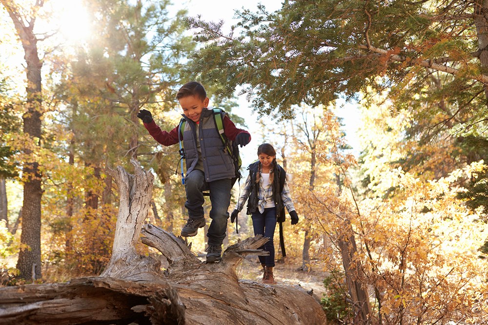 Brother and sister walking along a fallen tree in a forest