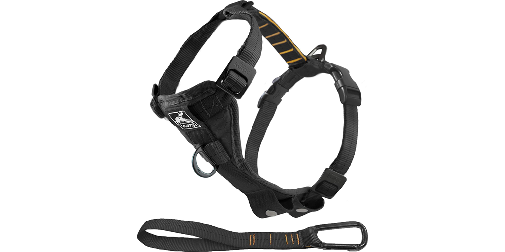A harness for dogs.