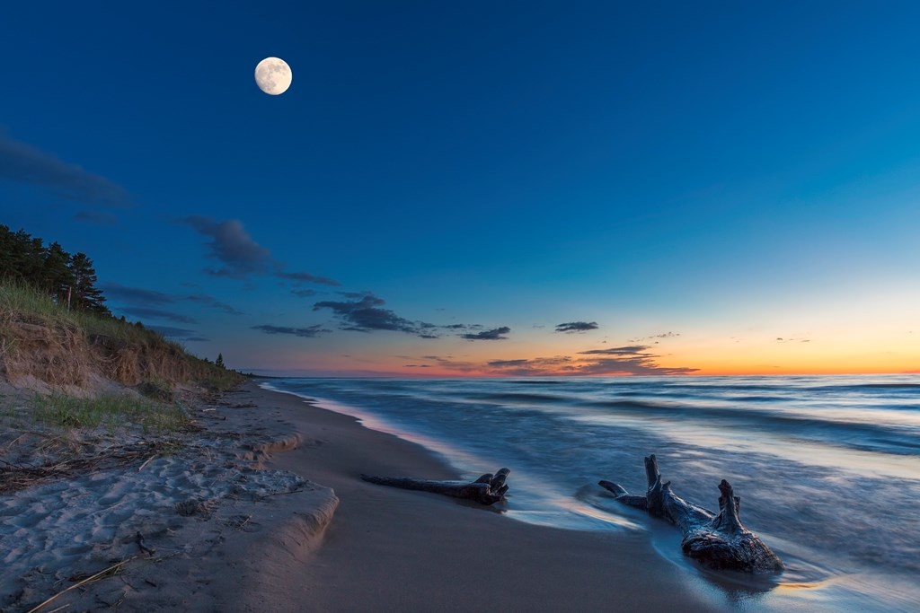 Driftwood on a Lake Huron Beach at Twilight - Grand Bend, Ontario, Canada.