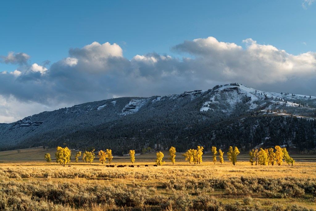 Lamar Valley with early autumn snowfall in Yellowstone National Park.