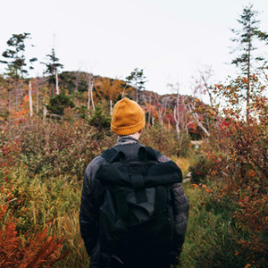 Best Places to Catch the Fall Colors in the United States by Region Image