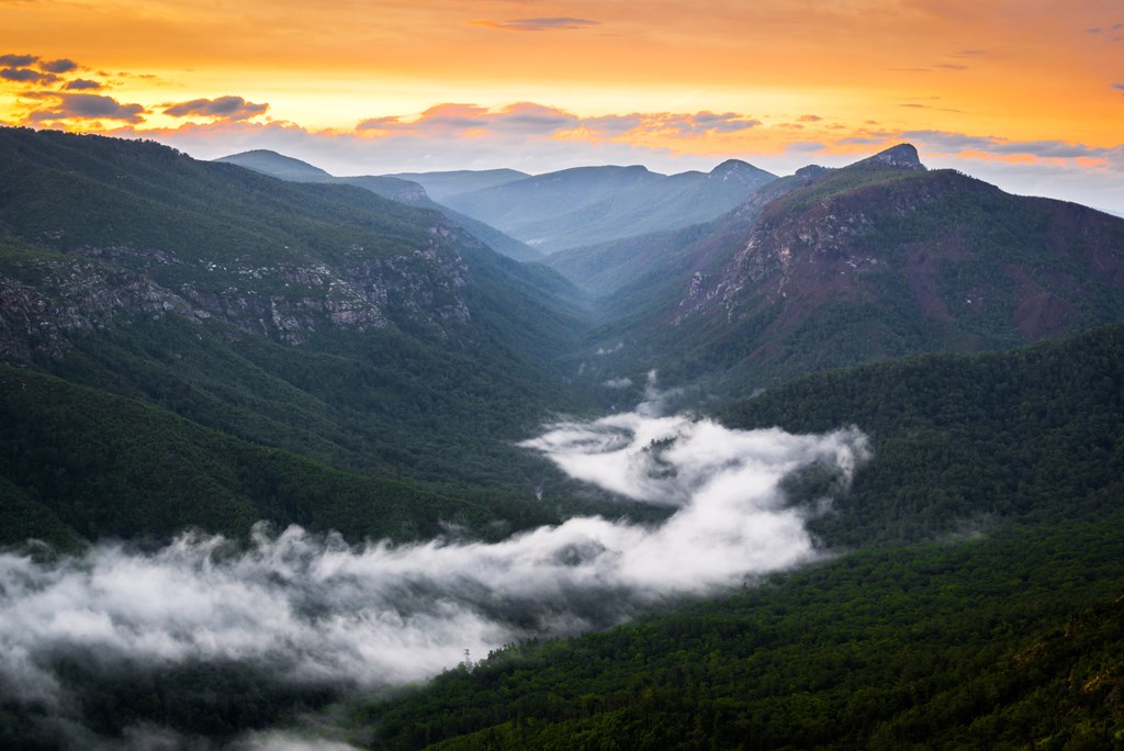 River of fog along the Linville River in the gorge. Taken around sunrise from atop Shortoff Mountain.