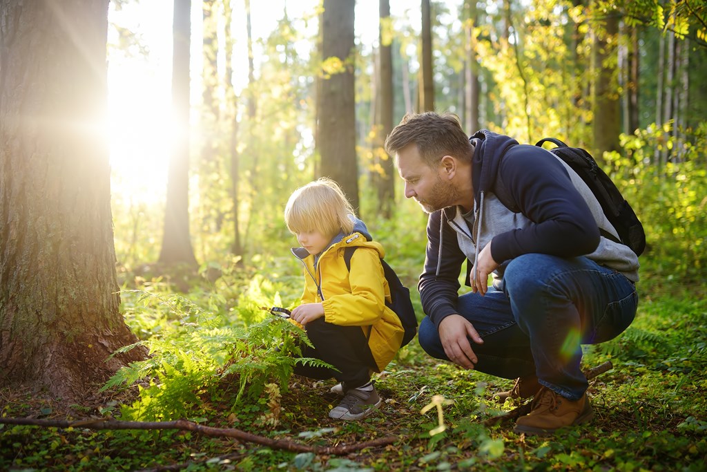 A young boy identifies plants in the woods with his father.