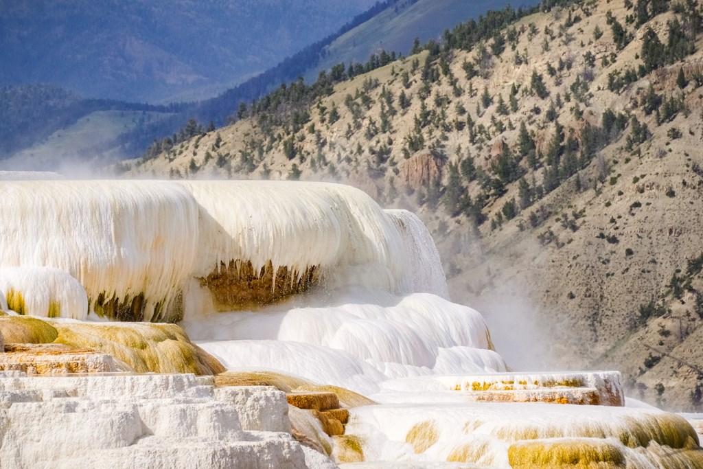 Active Hot Spring, Mammoth Hot Springs terraces, Yellowstone National Park, Wyoming
