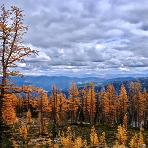 The Best Fall Hikes Image