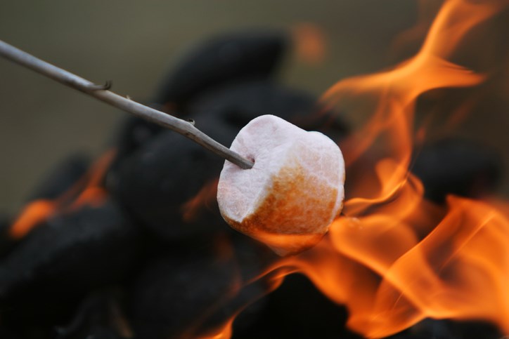 The Science of Roasting the Perfect Marshmallow KOA Camping Blog