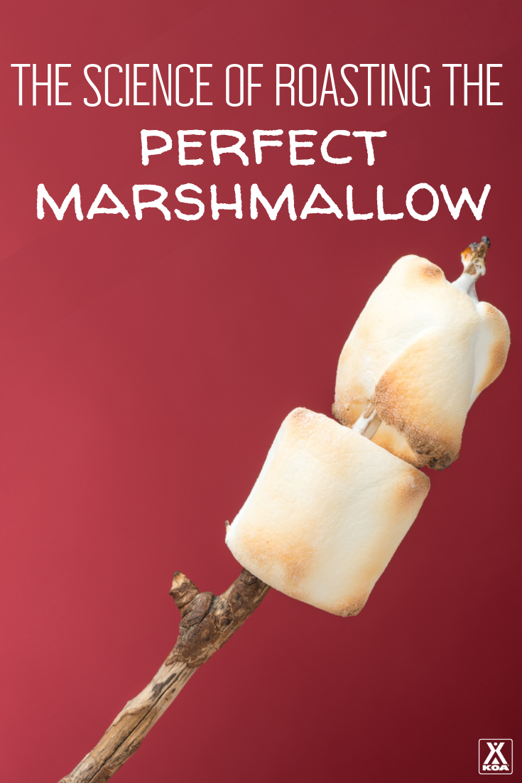 Roasting the perfect marshmallow is definitely a science where practice makes perfect. Follow our tips and tricks to ensure your marshmallow is perfectly roasted every time.