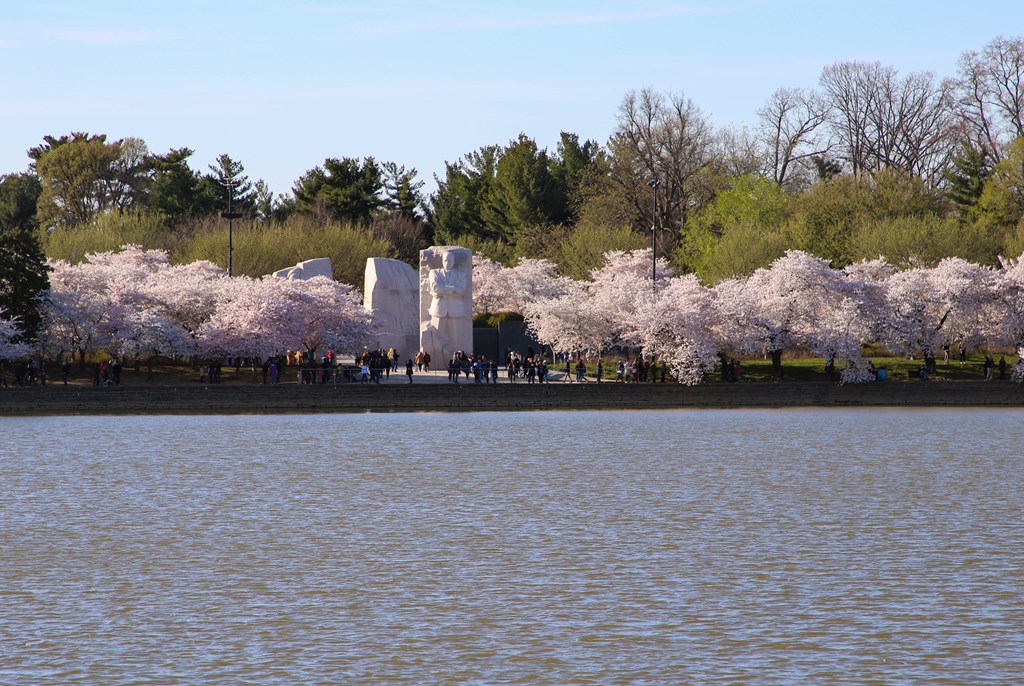 A view of the Martin Luther King, Jr. Memorial on a spring day.