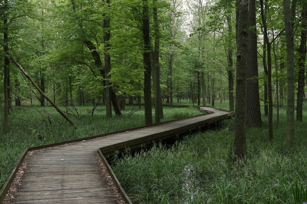 Boardwalk trail at Maumee Bay State Park, Ohio