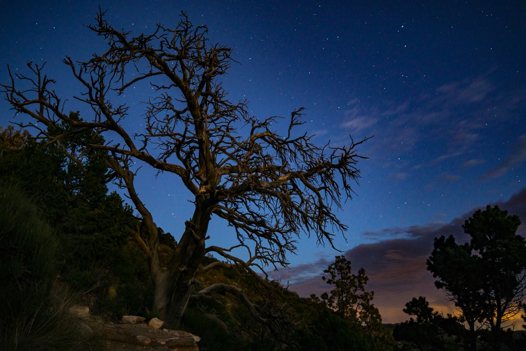 Stars at twilight over Mesa Verde National Park.